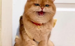 波多野结衣之双女调教全集